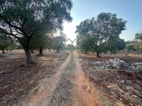terreno agricolo in vendita a Carovigno