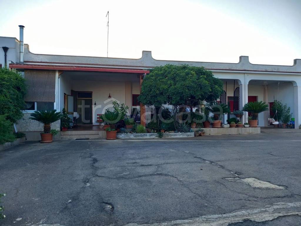 casa indipendente in vendita a Carovigno