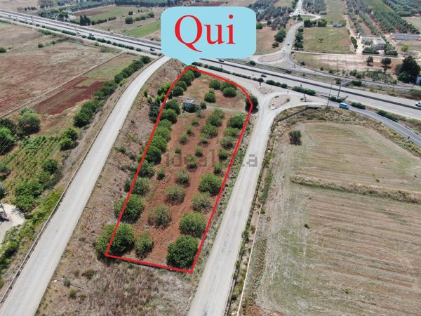 appartamento in vendita a Carovigno