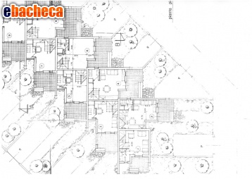 casa indipendente in vendita a Carovigno