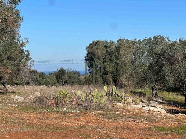 casa indipendente in vendita a Carovigno