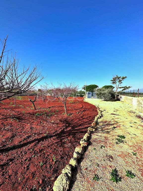 terreno agricolo in vendita a Carovigno