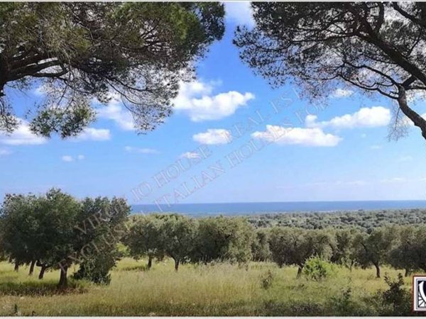 terreno agricolo in vendita a Carovigno