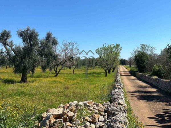 terreno agricolo in vendita a Carovigno