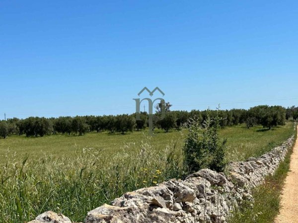 terreno agricolo in vendita a Carovigno