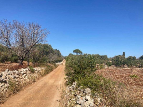 casa indipendente in vendita a Carovigno