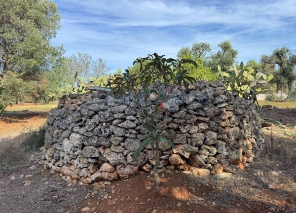 casa indipendente in vendita a Carovigno
