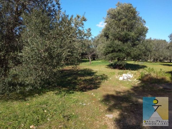terreno agricolo in vendita a Carovigno
