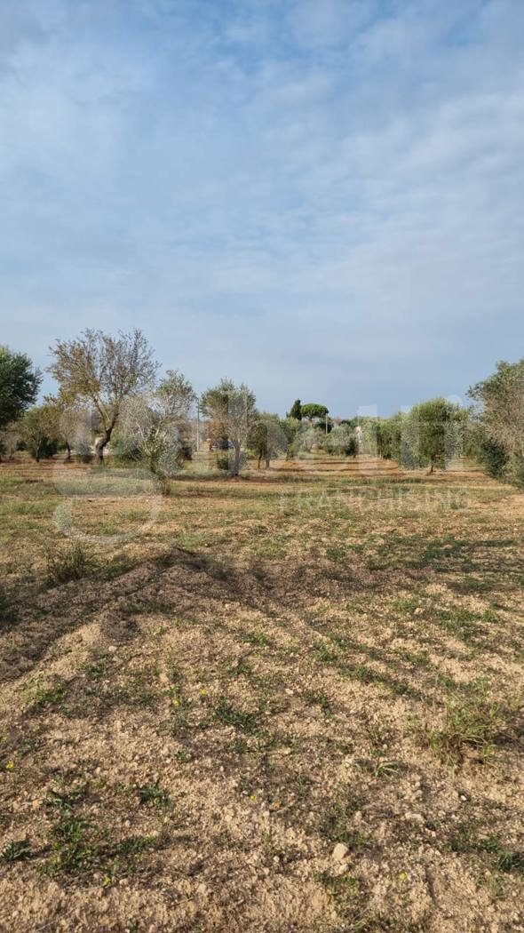 casa indipendente in vendita a Carovigno