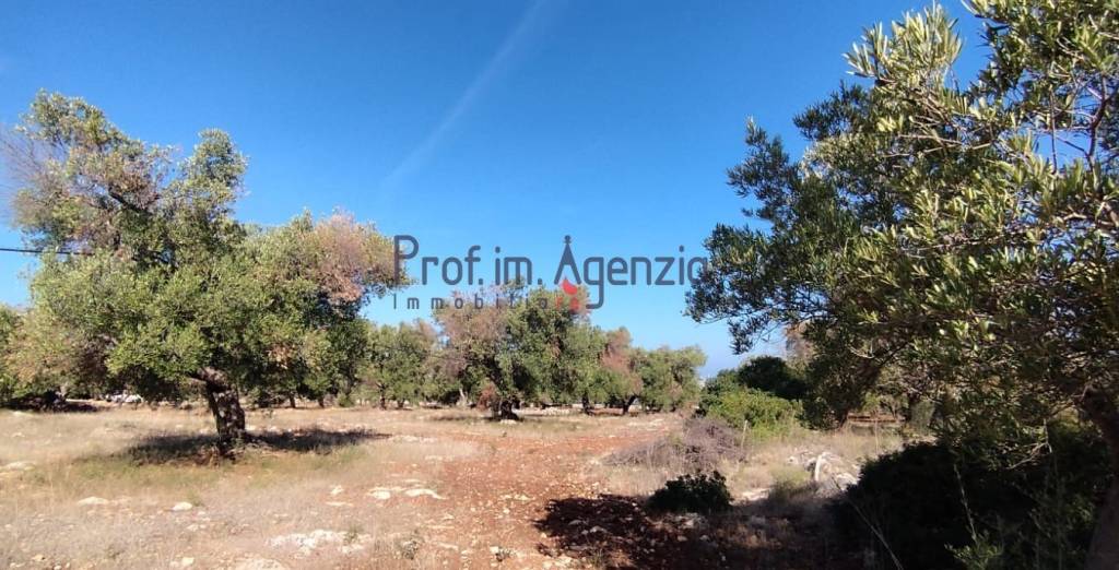 casa indipendente in vendita a Carovigno
