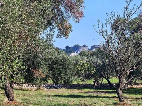 casa indipendente in vendita a Carovigno