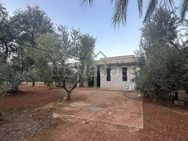 casa indipendente in vendita a Carovigno
