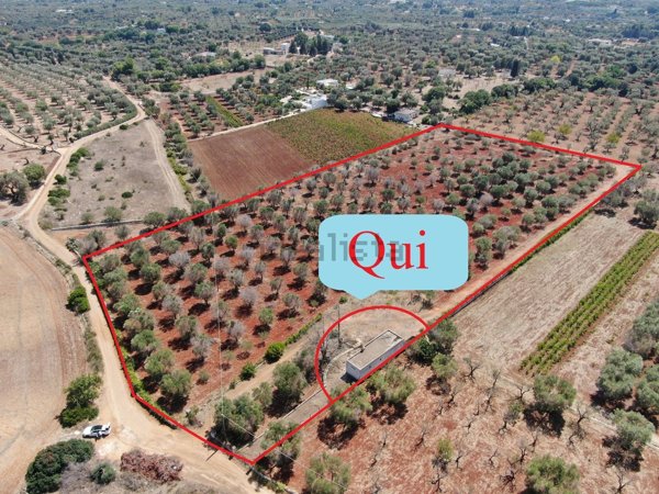appartamento in vendita a Carovigno