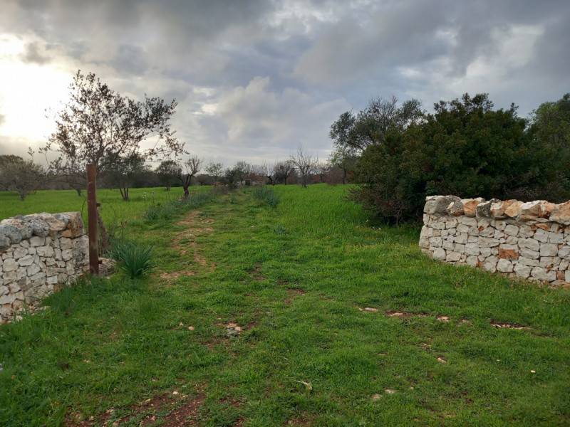 terreno edificabile in vendita a Carovigno