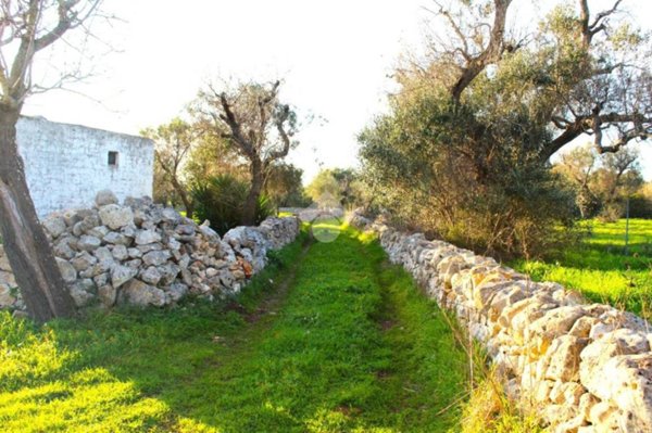 casa indipendente in vendita a Carovigno