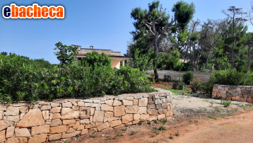 casa indipendente in vendita a Carovigno