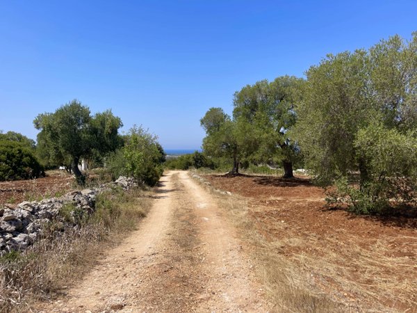 casa indipendente in vendita a Carovigno