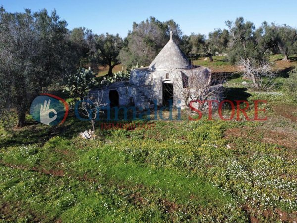 casa indipendente in vendita a Carovigno