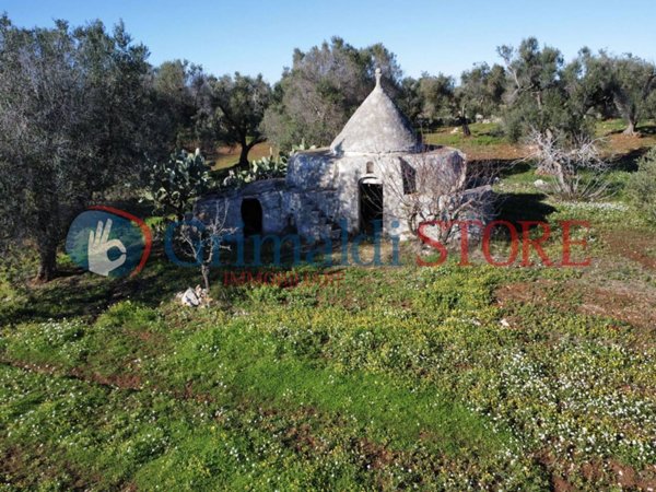casa indipendente in vendita a Carovigno