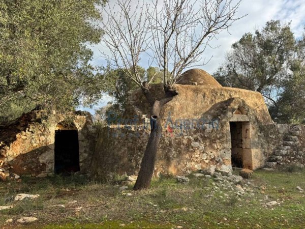 casa indipendente in vendita a Carovigno