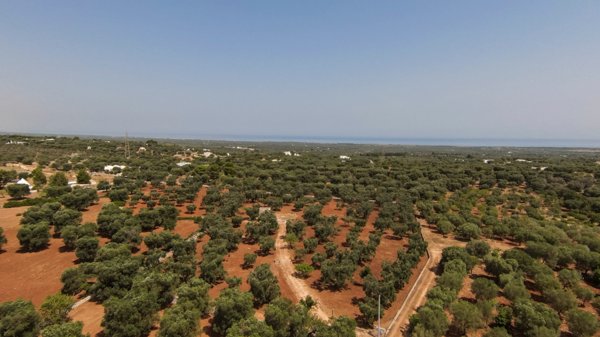 casa indipendente in vendita a Carovigno