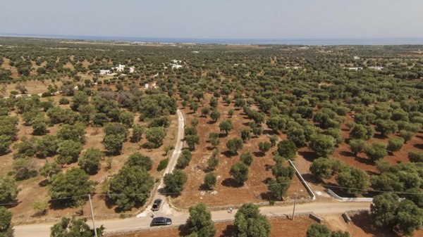terreno agricolo in vendita a Carovigno