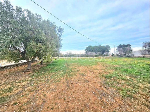 terreno agricolo in vendita a Carovigno