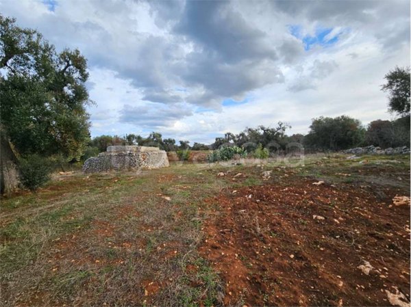 casa indipendente in vendita a Carovigno