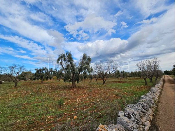 casa indipendente in vendita a Carovigno