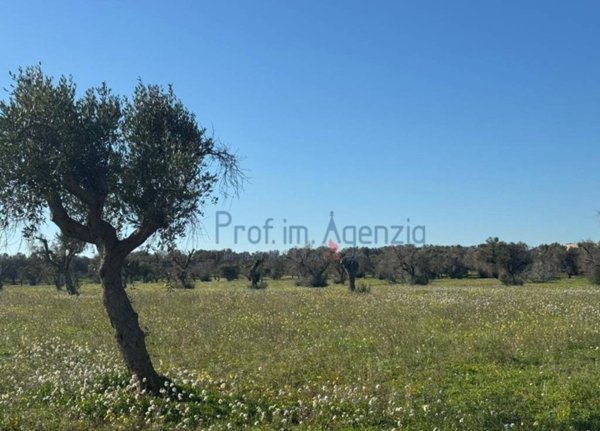 casa indipendente in vendita a Carovigno in zona Serranova