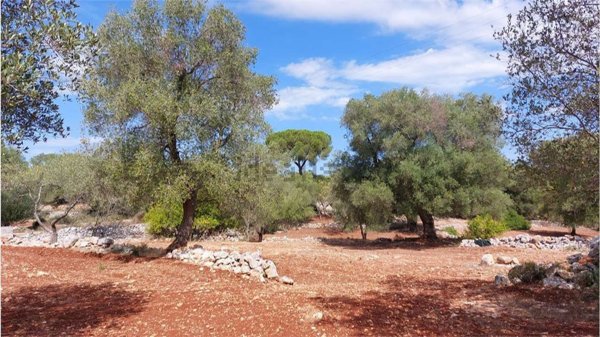 monolocale in vendita a Carovigno