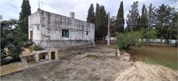 quadrivano in vendita a Carovigno