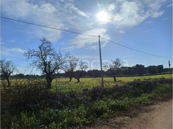 casa indipendente in vendita a Carovigno