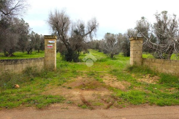 terreno agricolo in vendita a Carovigno