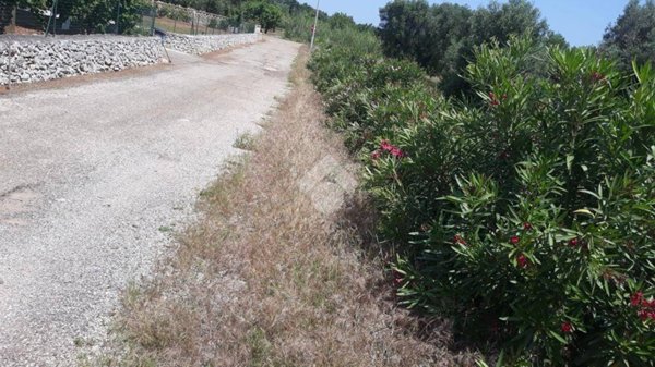 casa indipendente in vendita a Carovigno