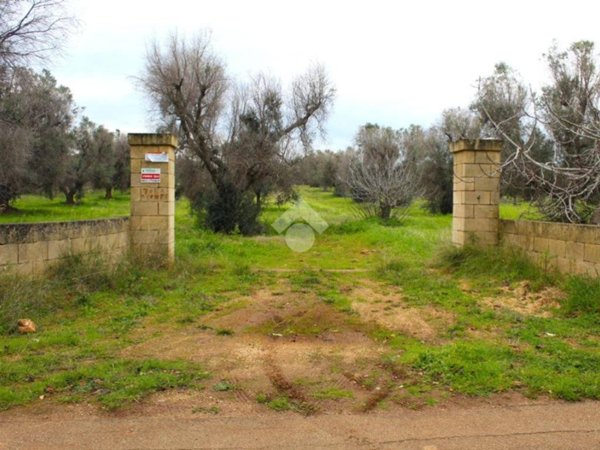 terreno agricolo in vendita a Carovigno