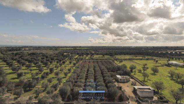 casa indipendente in vendita a Carovigno