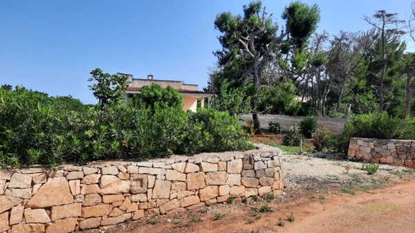 casa indipendente in vendita a Carovigno