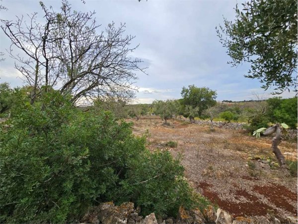 terreno agricolo in vendita a Carovigno