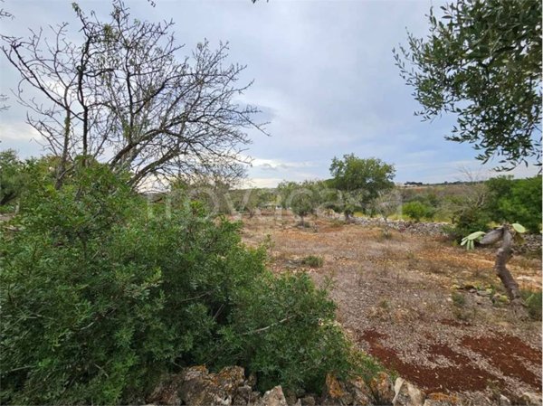 casa indipendente in vendita a Carovigno