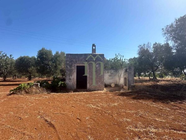 casa indipendente in vendita a Carovigno