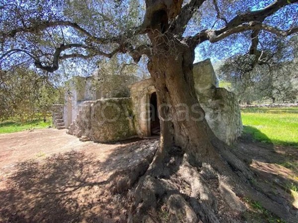 casa indipendente in vendita a Carovigno in zona Torre Santa Sabina