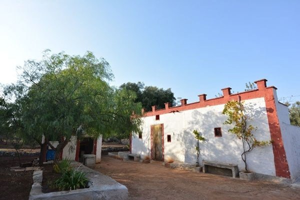 appartamento in vendita a Carovigno