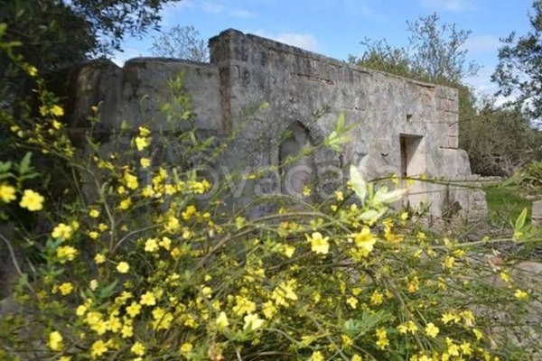 casa indipendente in vendita a Carovigno