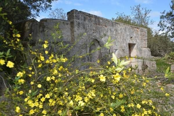 casa indipendente in vendita a Carovigno