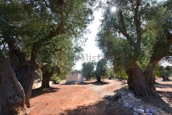 casa indipendente in vendita a Carovigno