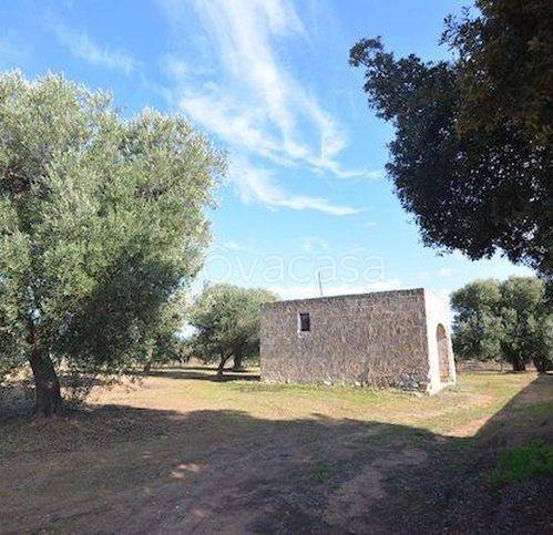 casa indipendente in vendita a Carovigno
