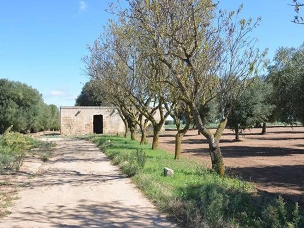 casa indipendente in vendita a Carovigno in zona Serranova