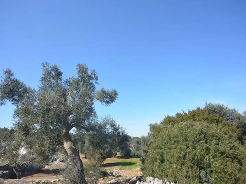 casa indipendente in vendita a Carovigno