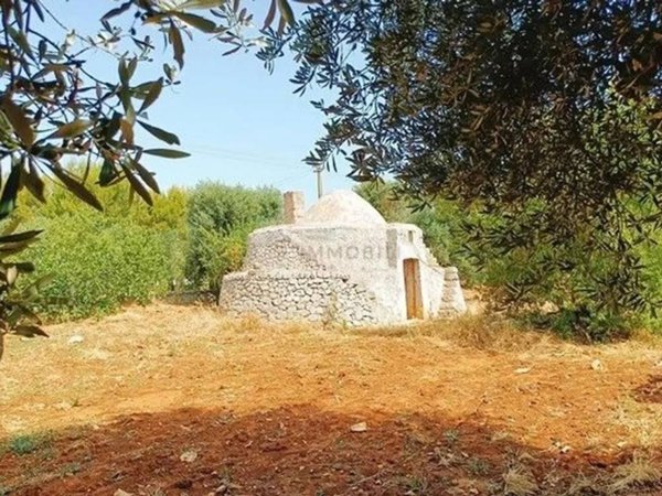 terreno agricolo in vendita a Carovigno